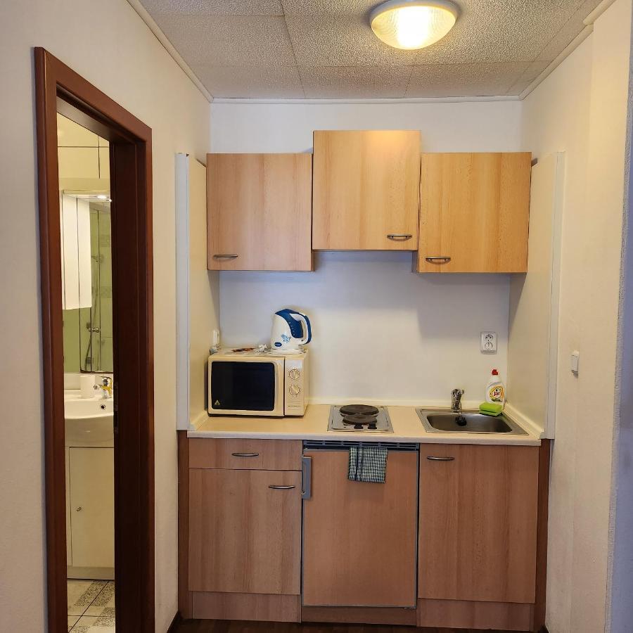 Apartment Ubytovani U Maxe Lipno nad Vltavou